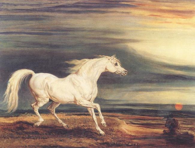 James Ward Napoleon's Horse,Marengo at Waterloo Spain oil painting art